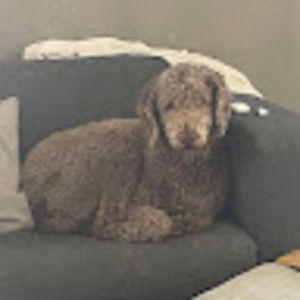 Meet your Posher, Madelyn